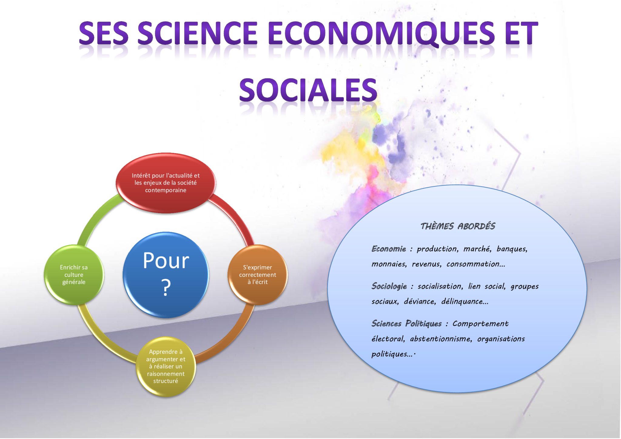 Science Économiques et Sociales (SES) Cité Scolaire Mangin Sarrebourg